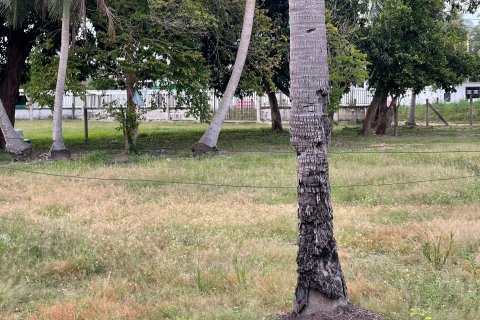 Land in Pattaya, Thailand 3520 sq.m. № 144723 - photo 7