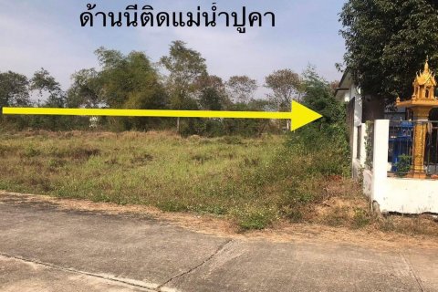 Land in Chiang Mai, Thailand № 119936 - photo 3