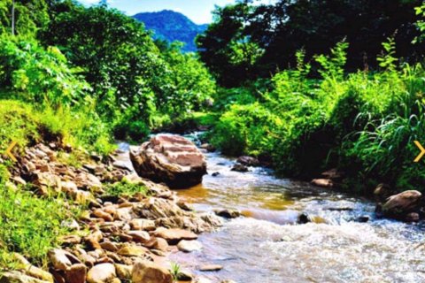 Land in Chiang Mai, Thailand № 119938 - photo 4