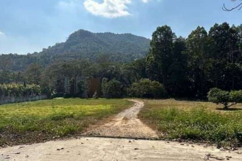 Land in Chiang Mai, Thailand № 119937 - photo 8