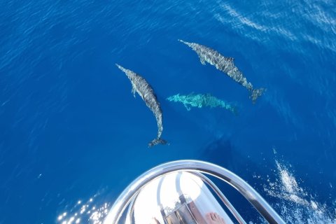 Hotel in Phang Nga, Thailand № 160779 - photo 28