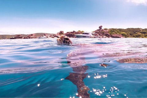 Hotel in Phang Nga, Thailand № 160779 - photo 29