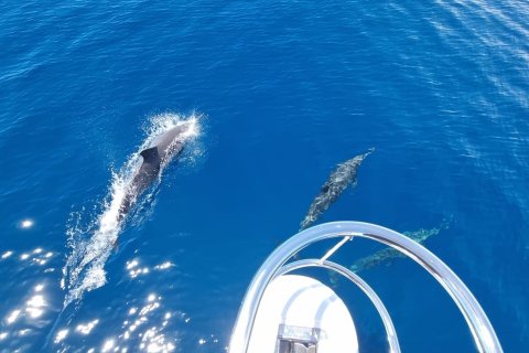 Hotel in Phang Nga, Thailand № 160779 - photo 27