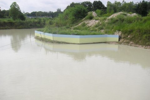 Land in Kalasin, Thailand 14000 sq.m. № 172091 - photo 7