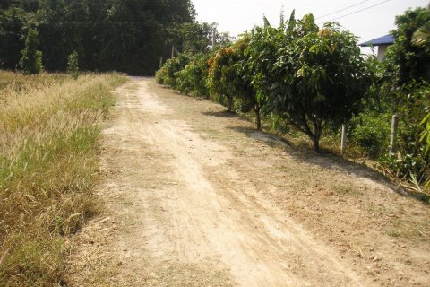 Land in Kalasin, Thailand 14000 sq.m. № 172091 - photo 6