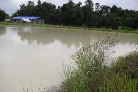 Land in Kalasin, Thailand 14000 sq.m. № 172091 - photo 10