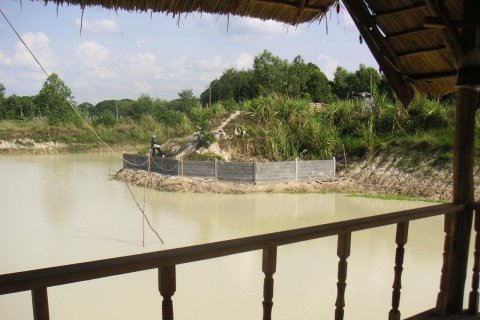 Land in Kalasin, Thailand 14000 sq.m. № 172091 - photo 5