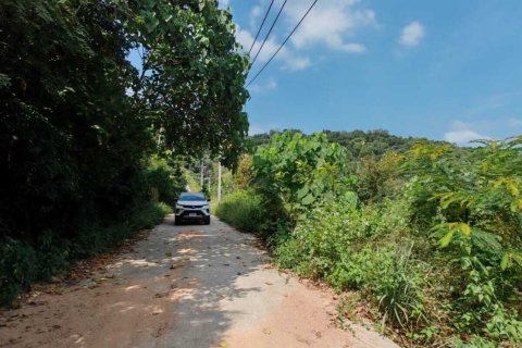 Земельный участок в Самуи, Таиланд 1600м2  № 153684 - фото 2