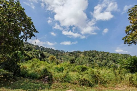 Земельный участок в Самуи, Таиланд 1600м2  № 153684 - фото 3