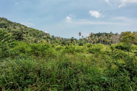 Земельный участок в Самуи, Таиланд 1600м2  № 153684 - фото 4