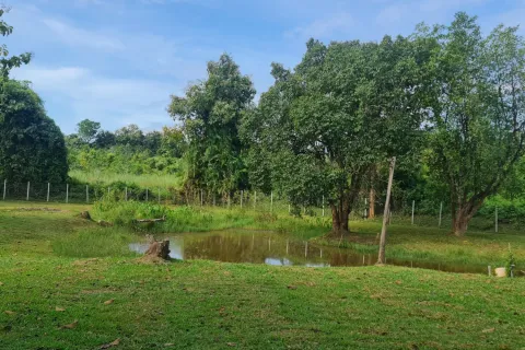 Villa in Chiang Rai, Thailand 4 bedrooms № 160324 - photo 27