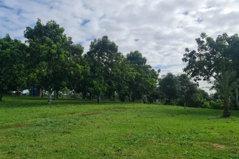 Villa in Chiang Rai, Thailand 4 bedrooms № 160324 - photo 22