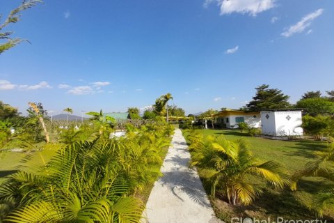 Коммерческая недвижимость в Чиангмае, Таиланд  № 144232 - фото 13