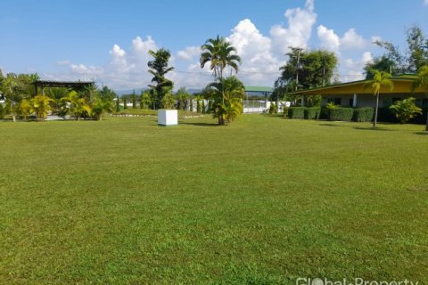 Коммерческая недвижимость в Чиангмае, Таиланд  № 144232 - фото 17