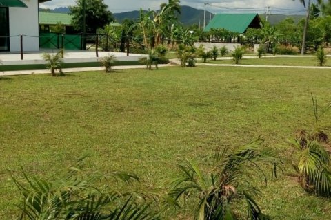 Коммерческая недвижимость в Чиангмае, Таиланд  № 144232 - фото 16