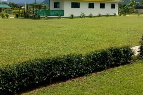 Коммерческая недвижимость в Чиангмае, Таиланд  № 144232 - фото 12