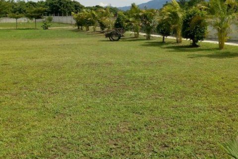 Коммерческая недвижимость в Чиангмае, Таиланд  № 144232 - фото 11