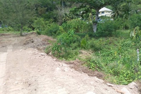 Land in Kathu, Thailand 1600 sq.m. № 158004 - photo 3