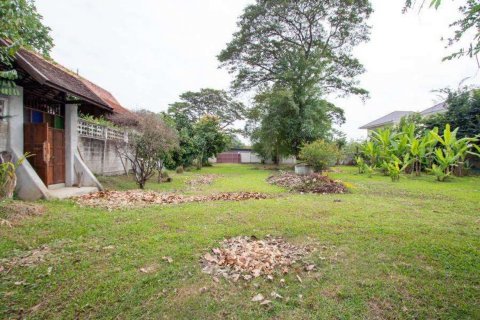 Land in Chiang Mai, Thailand № 119947 - photo 3