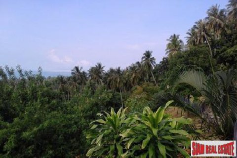 Terrain à Ko Samui, Thaïlande 11636 m2 № 192757 - photo 4