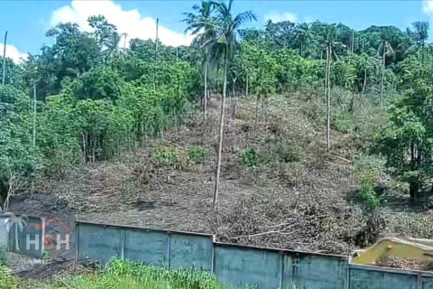 Land in Ko Samui, Thailand 1600 sq.m. № 179999 - photo 6