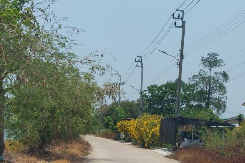 Земельный участок в Самутпракане, Таиланд 89480м2  № 149066 - фото 2