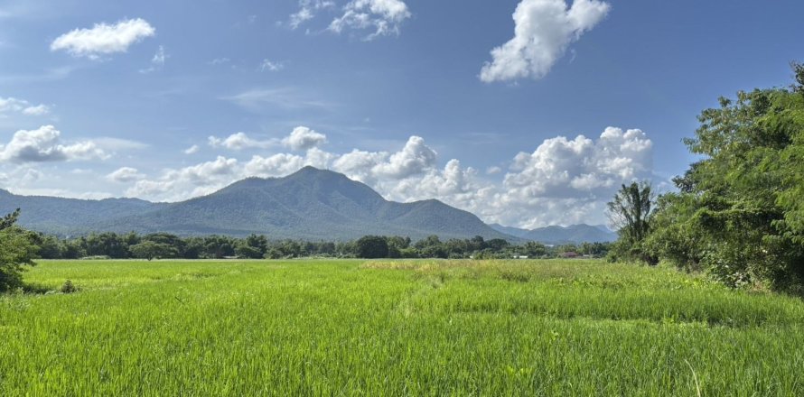 Земельный участок в Мае Оне, Таиланд 62400м2  № 152742