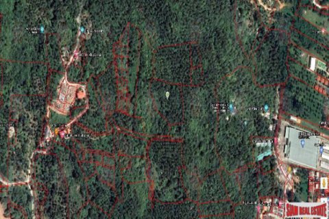 Земельный участок в Самуи, Таиланд 8000м2 № 203244 - фото 3