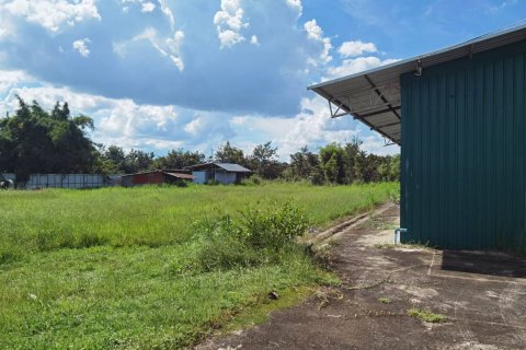 Warehouse in Phibun Mangsahan, Thailand № 159580 - photo 8