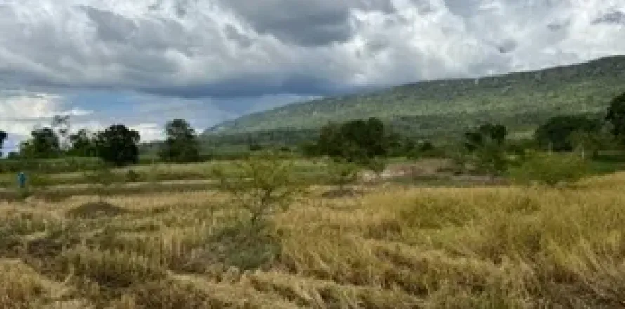 Land in Chaiyaphum, Thailand 64000 sq.m. № 159586