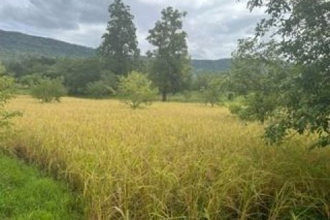 Land in Chaiyaphum, Thailand 64000 sq.m. № 159586 - photo 5