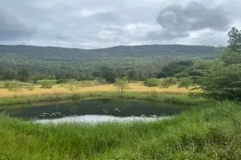 Land in Chaiyaphum, Thailand 64000 sq.m. № 159586 - photo 2