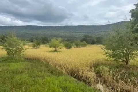 Land in Chaiyaphum, Thailand 64000 sq.m. № 159586 - photo 4