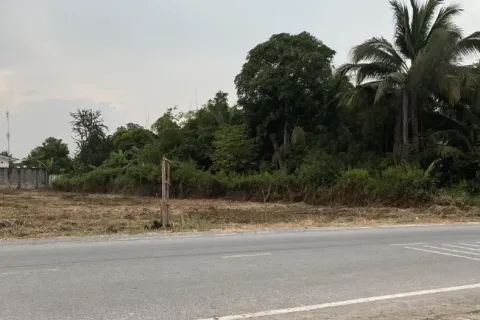 Земельный участок в Накхонпатхоме, Таиланд 1920м2  № 159582 - фото 4