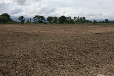 Land in Chiang Rai, Thailand 30400 sq.m. № 171156 - photo 8