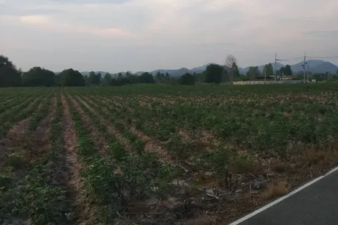 Terrain à Ban Chang, Thaïlande 3757 m2 № 149496 - photo 3
