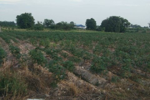 Terrain à Ban Chang, Thaïlande 3757 m2 № 149496 - photo 7