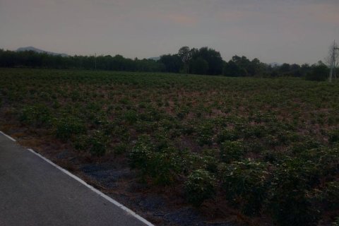 Terrain à Ban Chang, Thaïlande 3757 m2 № 149496 - photo 4