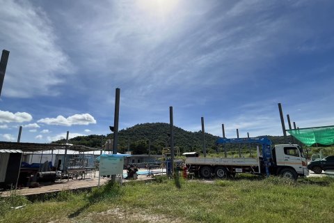 Земельный участок в Районге, Таиланд 12800м2  № 157989 - фото 18