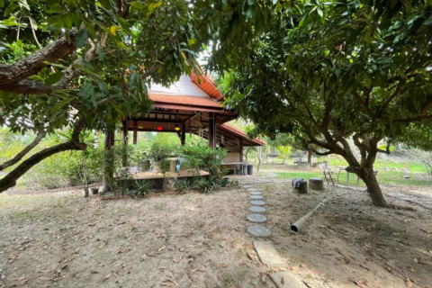 Земельный участок в Ханг Донге, Таиланд 4800м2  № 157987 - фото 13