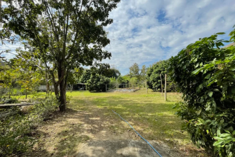 Земельный участок в Ханг Донге, Таиланд 4800м2  № 157987 - фото 4