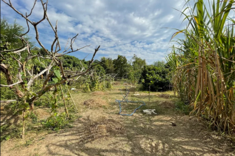 Земельный участок в Ханг Донге, Таиланд 4800м2  № 157987 - фото 6