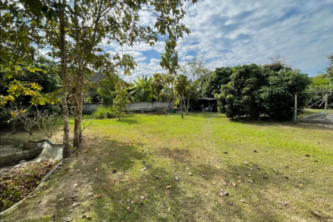 Земельный участок в Ханг Донге, Таиланд 4800м2  № 157987 - фото 3