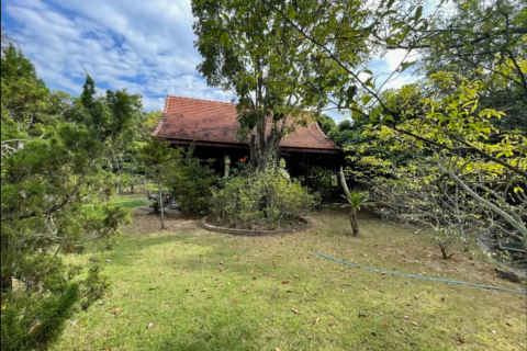 Земельный участок в Ханг Донге, Таиланд 4800м2  № 157987 - фото 11