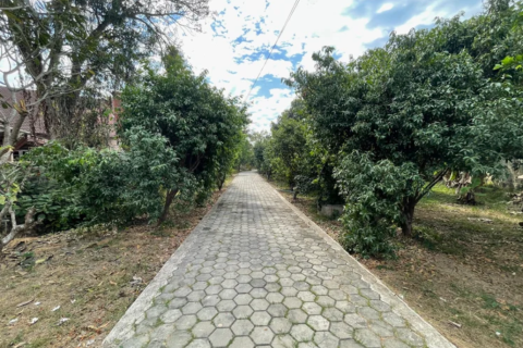 Земельный участок в Ханг Донге, Таиланд 4800м2  № 157987 - фото 9