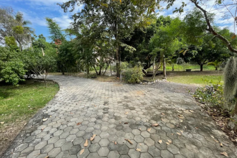 Земельный участок в Ханг Донге, Таиланд 4800м2  № 157987 - фото 10