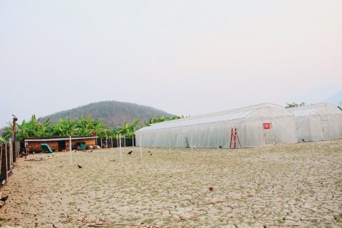 House in Chiang Dao, Thailand 5 bedrooms № 155053 - photo 10