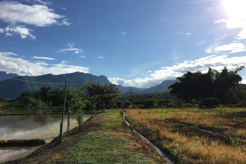 House in Chiang Dao, Thailand 5 bedrooms № 155053 - photo 17