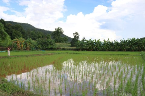 House in Chiang Dao, Thailand 5 bedrooms № 155053 - photo 18