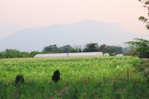 House in Chiang Dao, Thailand 5 bedrooms № 155053 - photo 4